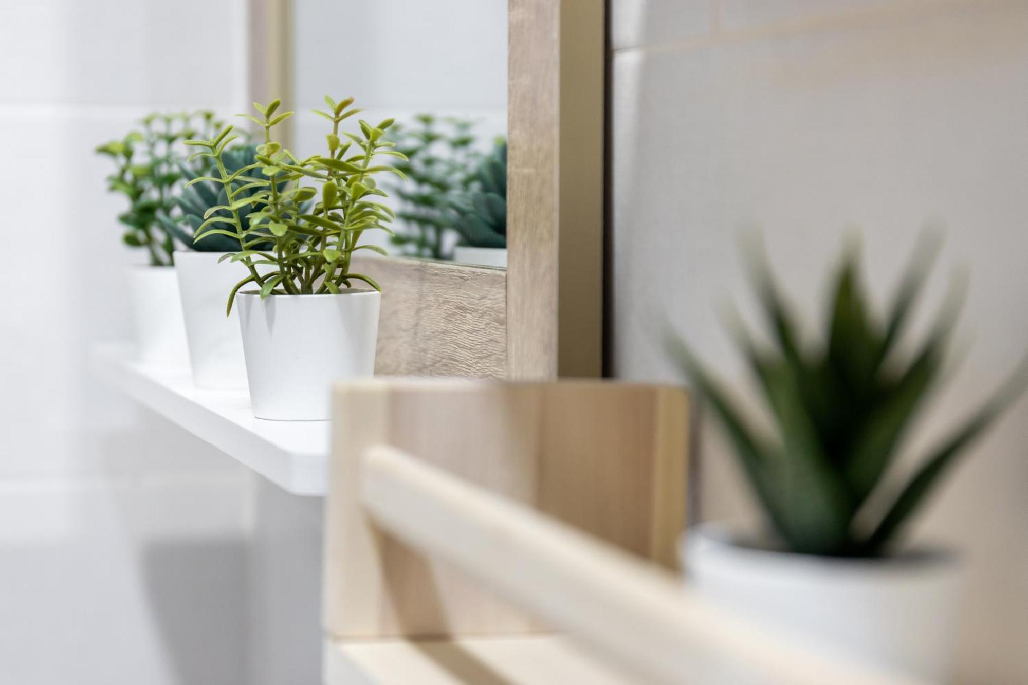 El Patio Del Arquitecto Apartment Гранада Екстериор снимка